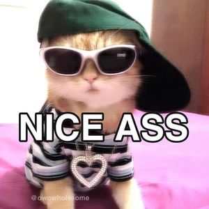 Meet your Posher, Mia